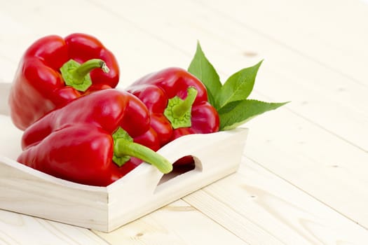 fresh peppers