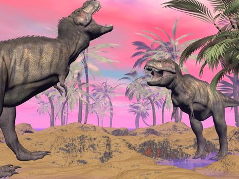 Two tyrannosaurus dinosaur arguing in the nature by sunset