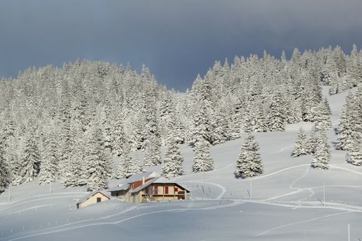 Little house in front of beautiful fir trees covered with snow in the Jura mountain by cloudy day of winter, Switzerland