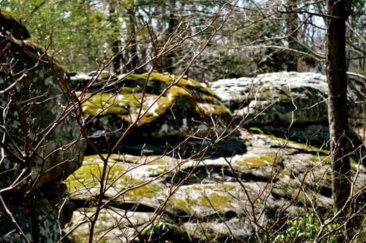 Branches and Boulders
