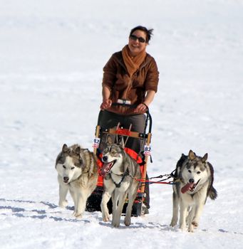 PLATEAU MOSSES - LA LECHERETTE - MARCH 10 : international race sled dogs on March 10, 2013 at plateau Mosses - La Lecherette, Switzerland.