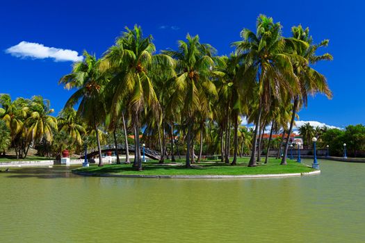 Beautiful view of a small island with royal palm trees in the park