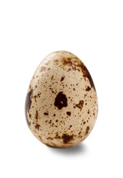Closeup view of quail egg isolated over white background