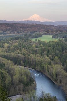 Sunset Alpenrose Pink Light on Mount Hood with Sandy River in Oregon