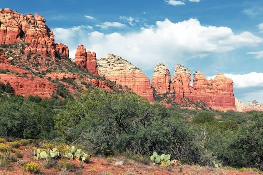 wilderness landscape near Sedona, Arizona