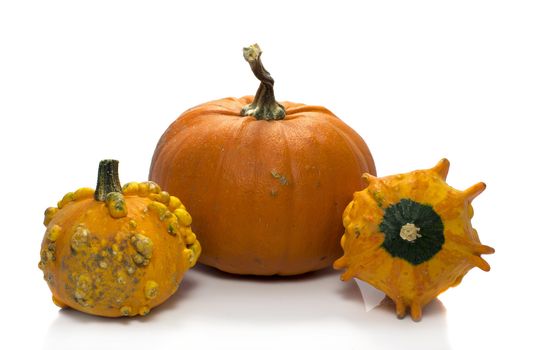 orange and green pumpkin in closeup over white background