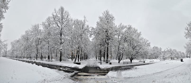 Panoramic view of the snowy park landscape