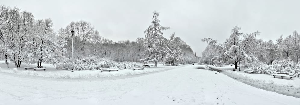 Winter view of the city park in Warsaw. Very wide angle panorama.