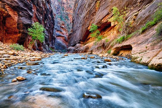 view of the Virgin River Narrows in Zion National Park - Utah 