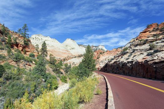 road in Zion National Park in the fall, USA