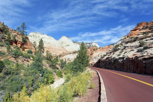 road in Zion National Park in the fall, USA