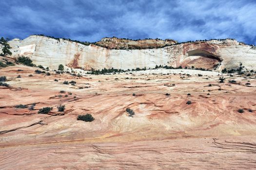 Beautiful slopes of Zion canyon. Utah. USA. 