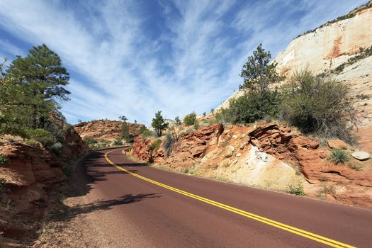 long road in Zion National Park in the fall 