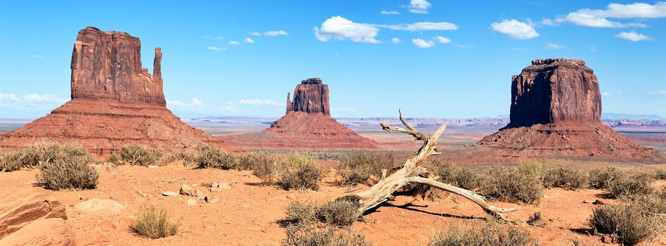 dead wood at Monument Valley, USA, panoramic view