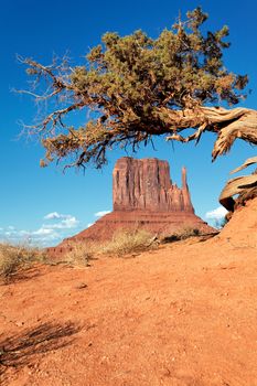 Monument Valley Navajo Tribal Park, Arizona. 