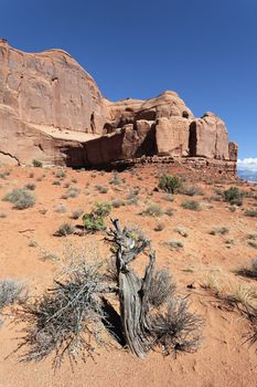 vertical view of Red rocks in Arches National park, Utah 