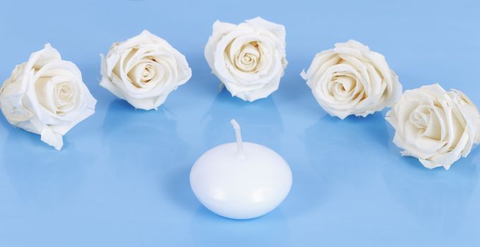 white candle and roses on blue background