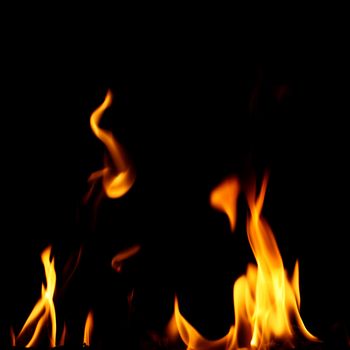 inferno flame fire on black background close up