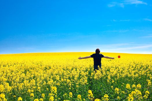 man with pinwheel standing in a field of yellow rape against the blue sky