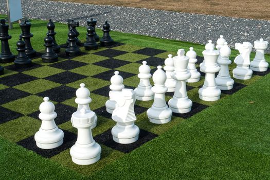 Giant street park chess game make the right move