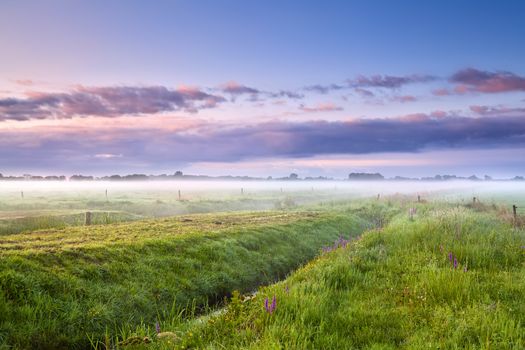 summer misty morning sunrise over meadows, Drenthe