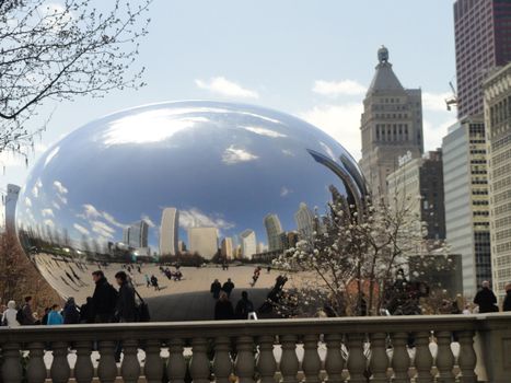 Chicago Bean in millennium park.