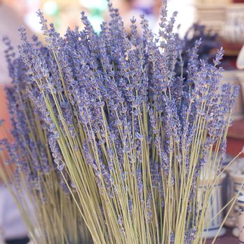 background of dried lavender flowers at the fair