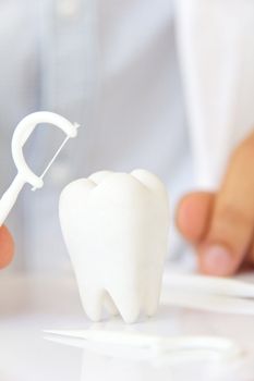 dentist holding dental floss with molar, flossing teeth concept