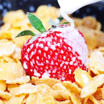 strawberry,milk and flakes in a bowl