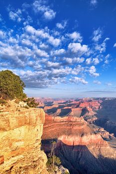 vertical view of Grand Canyon in the morning