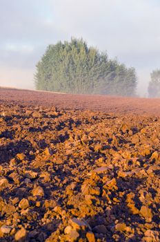 plowed farm field and early morning beautiful mist