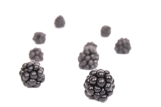pieces of blackberries on the white background