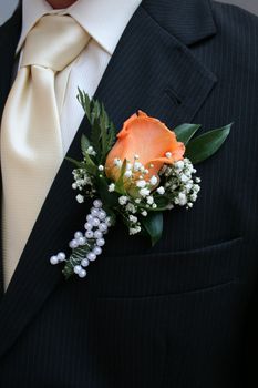 nice orange rose from the wedding clothes  