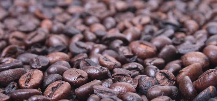 fresh natural coffea background from the  coffea seeds