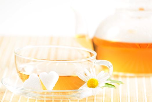 A teacup and a teapot with herbal chamomile tea