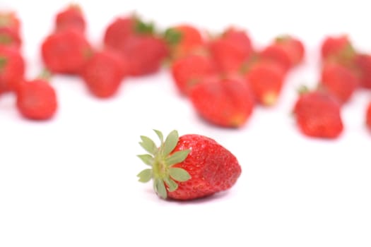fresch red strawberries on the white background