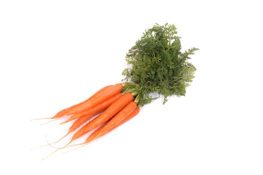 fresh orange carrot on the white background