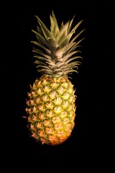 big fresh pineapple on the black background