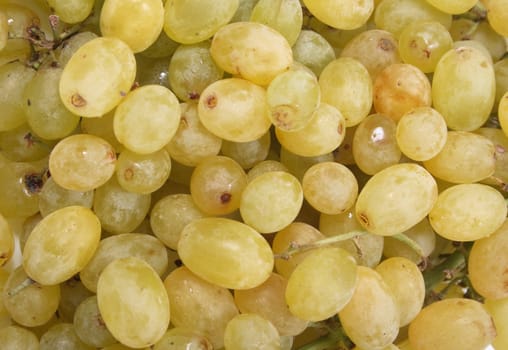 very nice fresh natural green grapes texture 