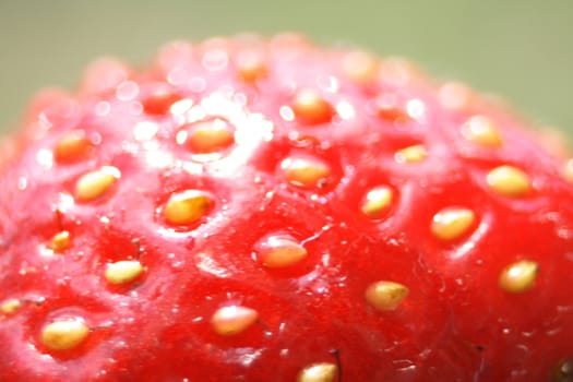 detail of red strawberry as natural background