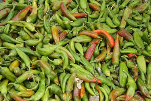 pepper background in the green and red color 