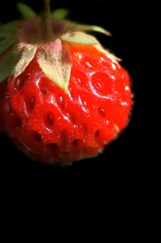 fresh red strawberry on the black background