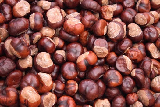 natural  background from the fresh brown chestnuts 
