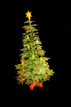 green xmas tree on the black background