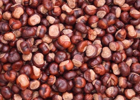 natural  background from the fresh brown chestnuts 