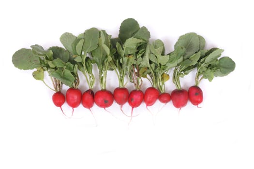 red radishes isolated on the white background