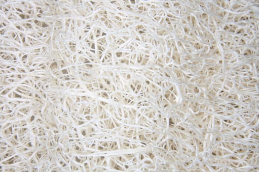 natural exotic abstract texture in the white color 
