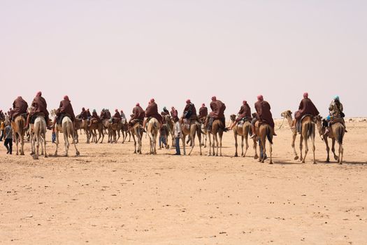 sahara with camels and people from the tunisia 