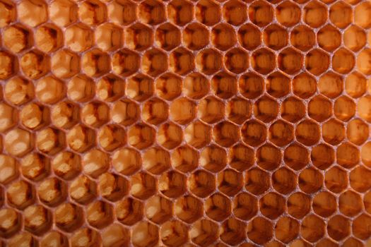nice natural honey texture without honey