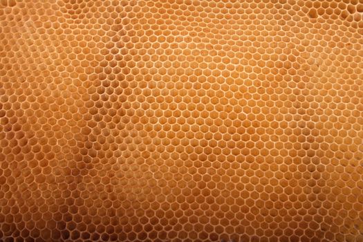 natural honey texture without honey (abstract background)